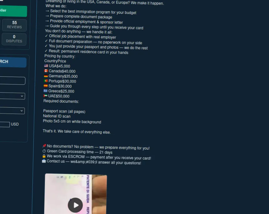 Website interface advertising visa and green card services